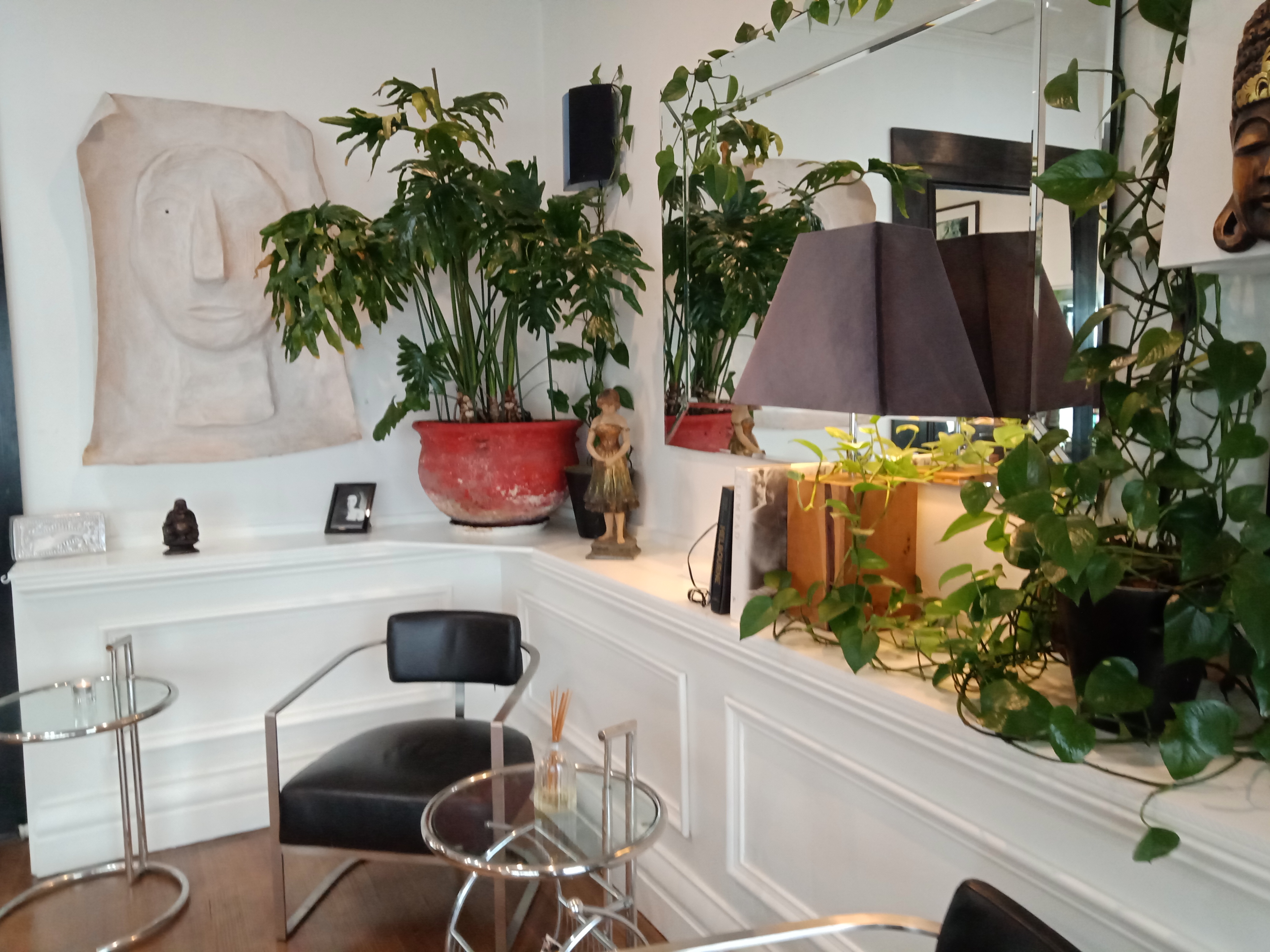 Elliot and Co image 2