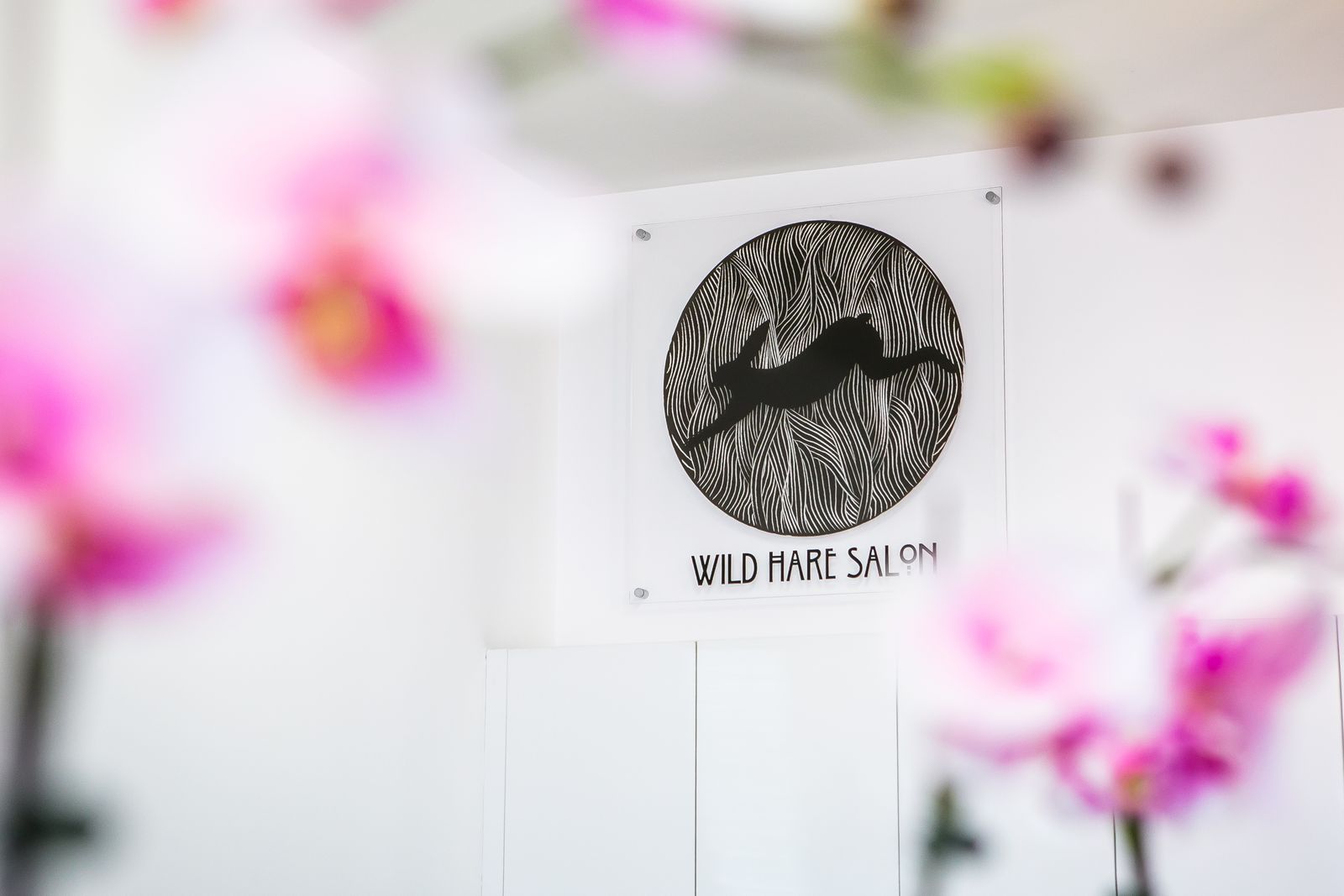 Wild Hare Salon image 13