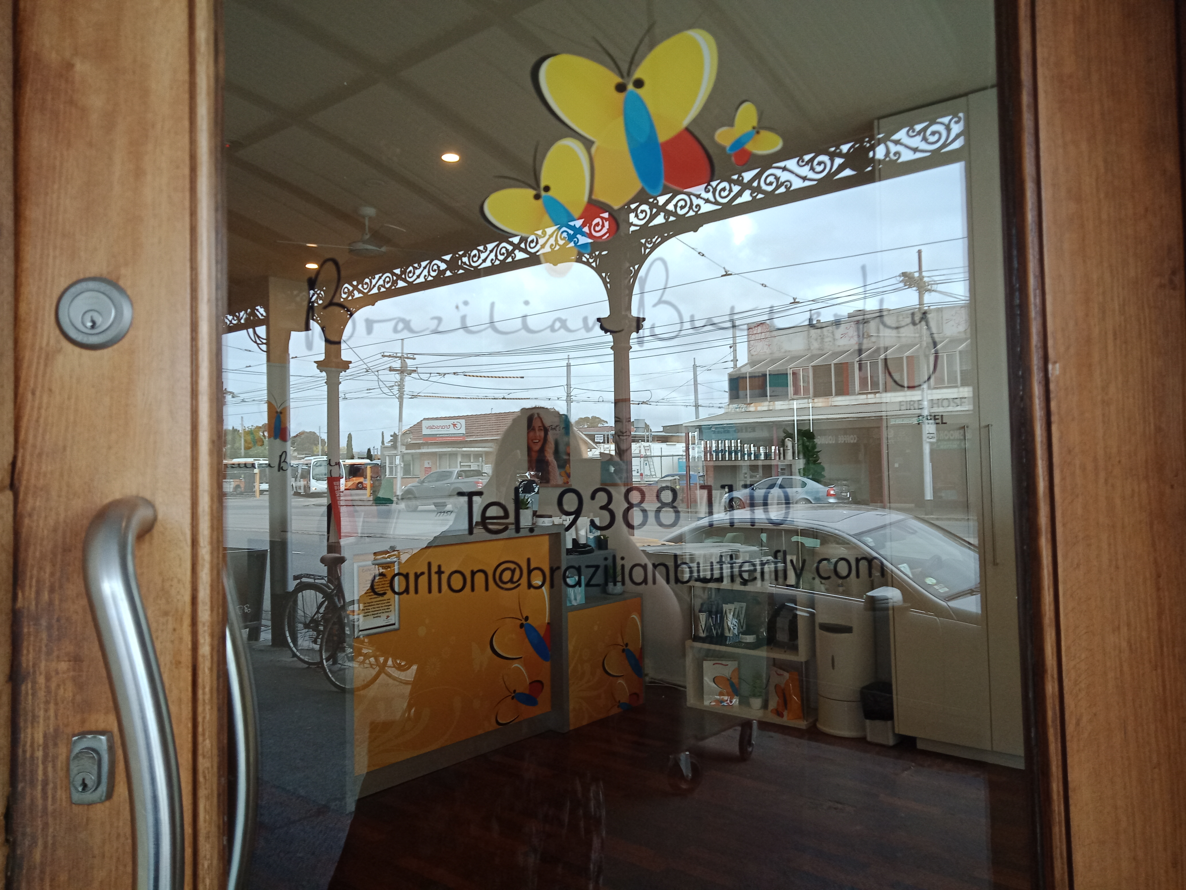 Brazilian Butterfly - Carlton North image 7