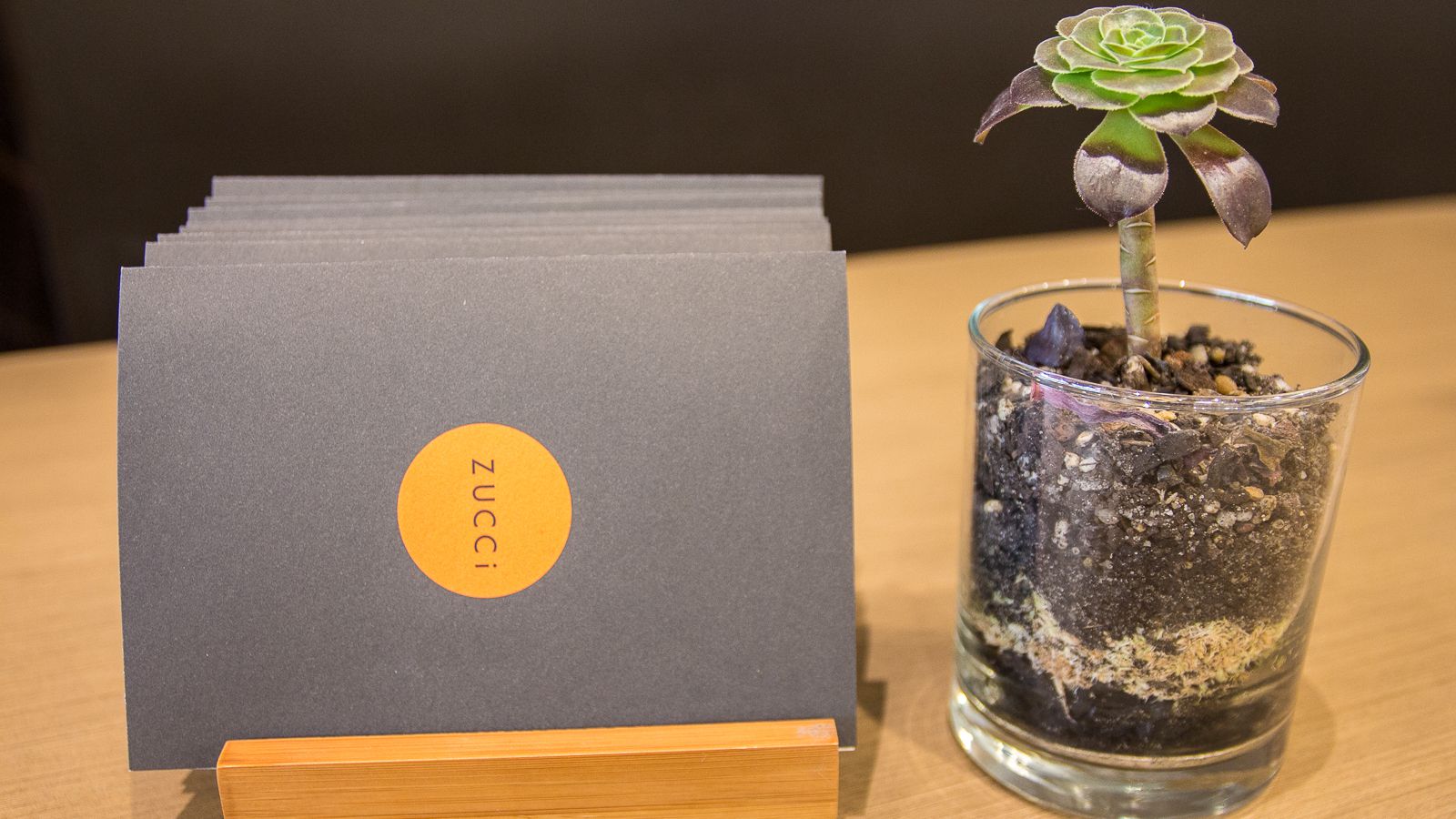 Zucci - David Jones image 5