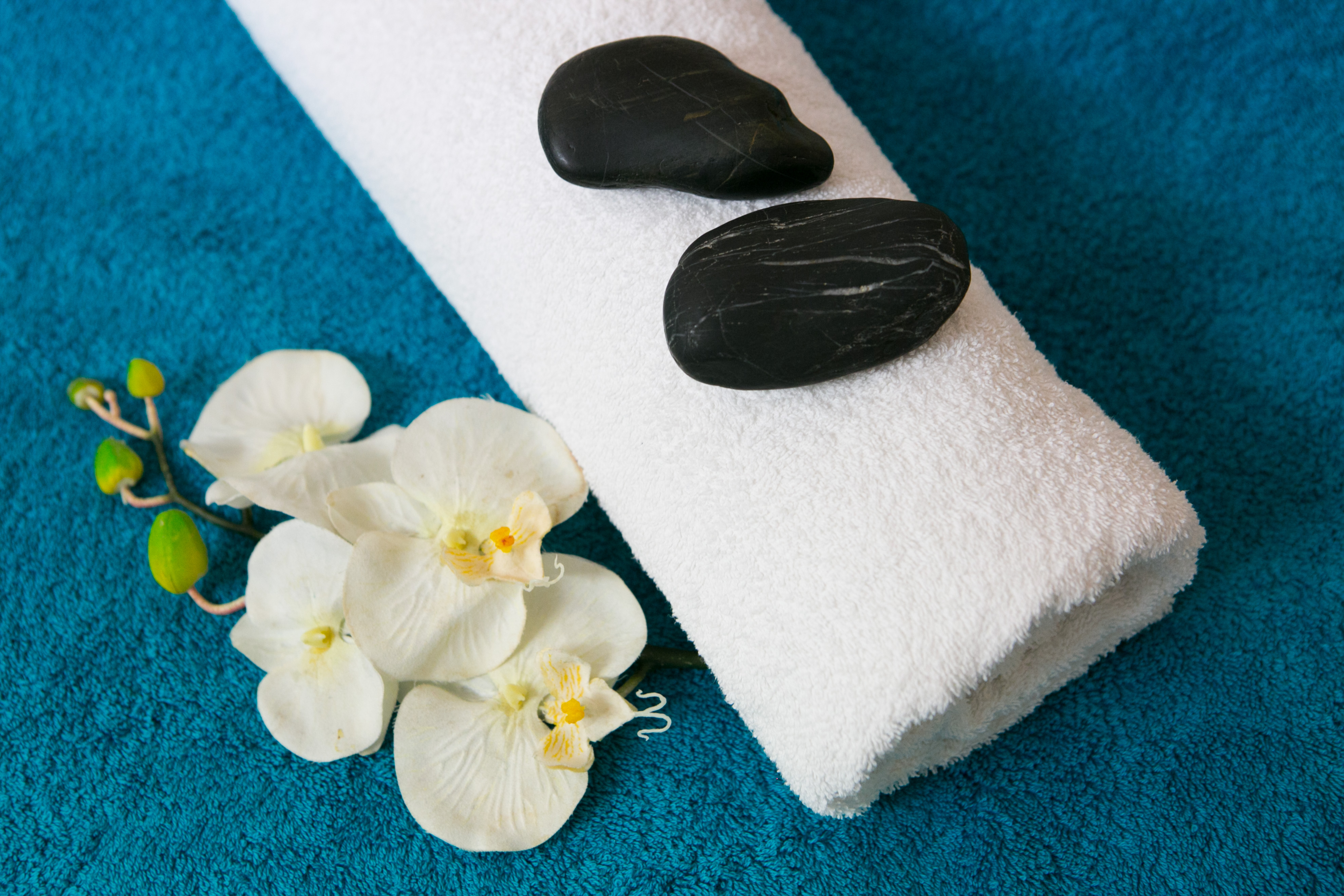 Tranquility Beauty Body Soul image 7