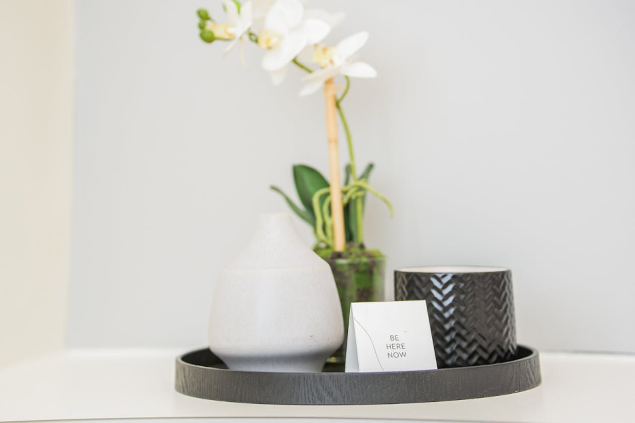 Aesthetics & Co image 8