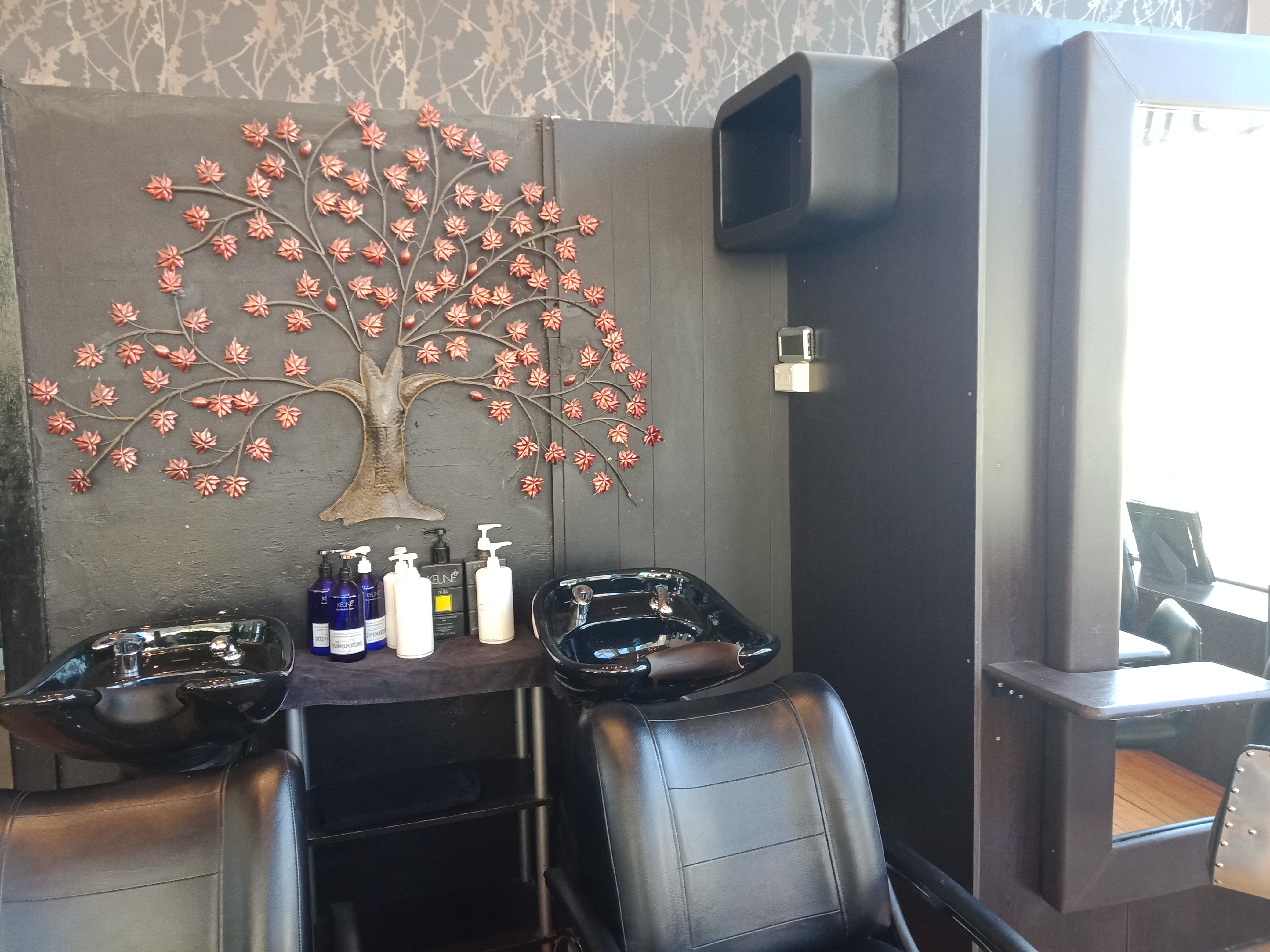 Capture Hair Design image 2