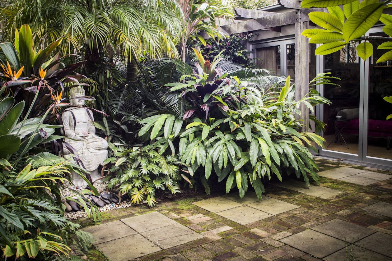 Anahata Therapies image 5