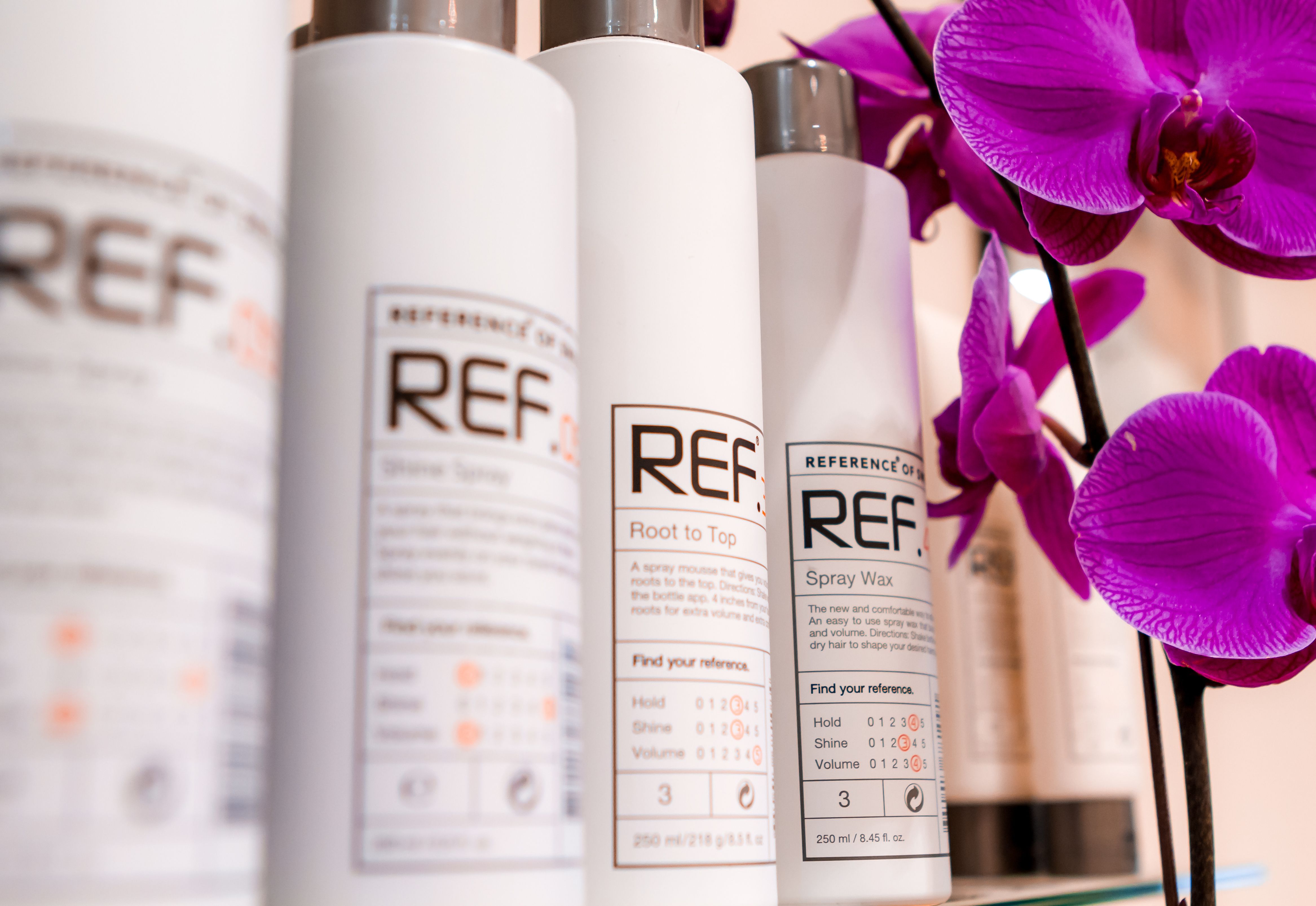 Blondes To Brunettes image 6