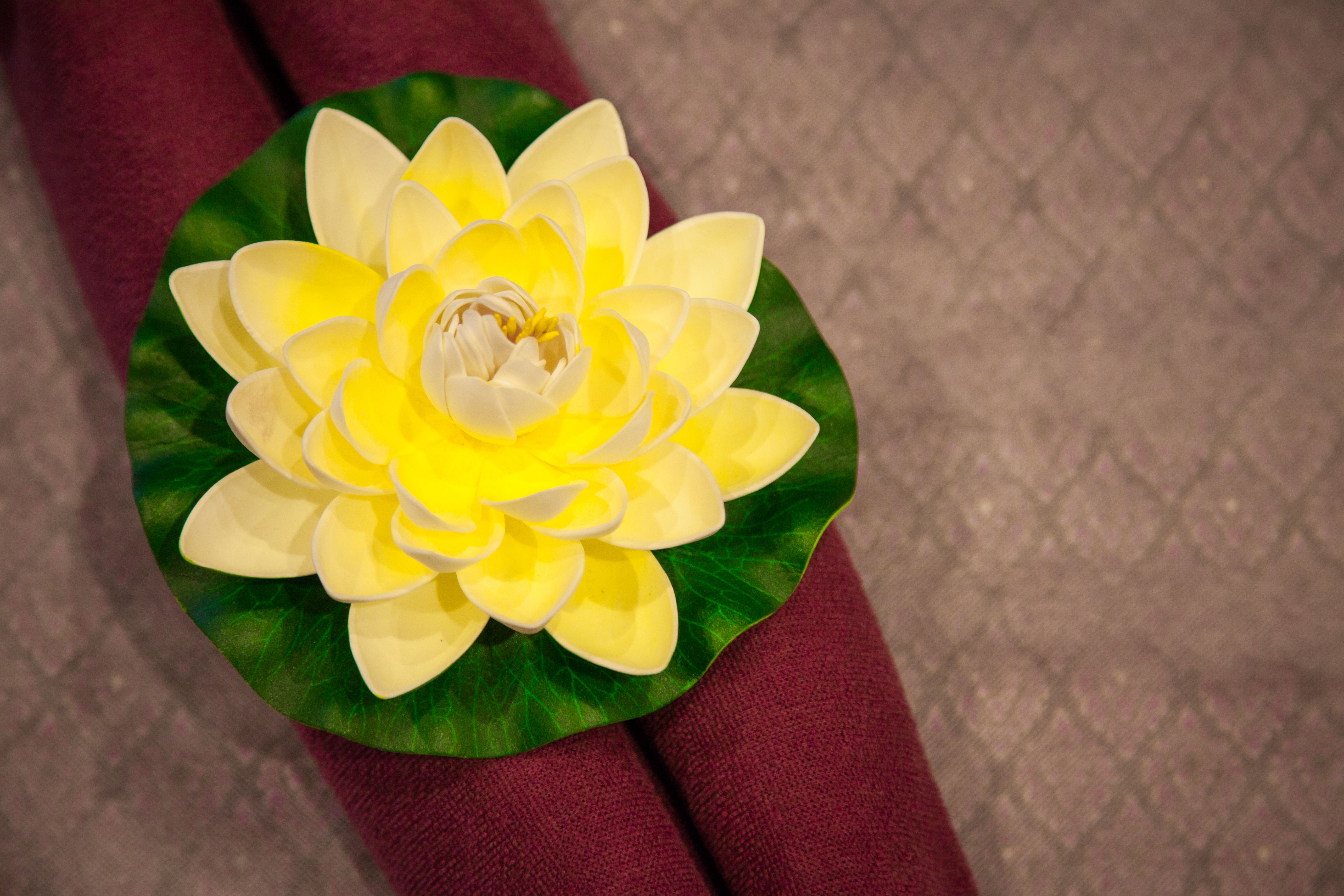 Dee Why Thai Massage and Spa image 4