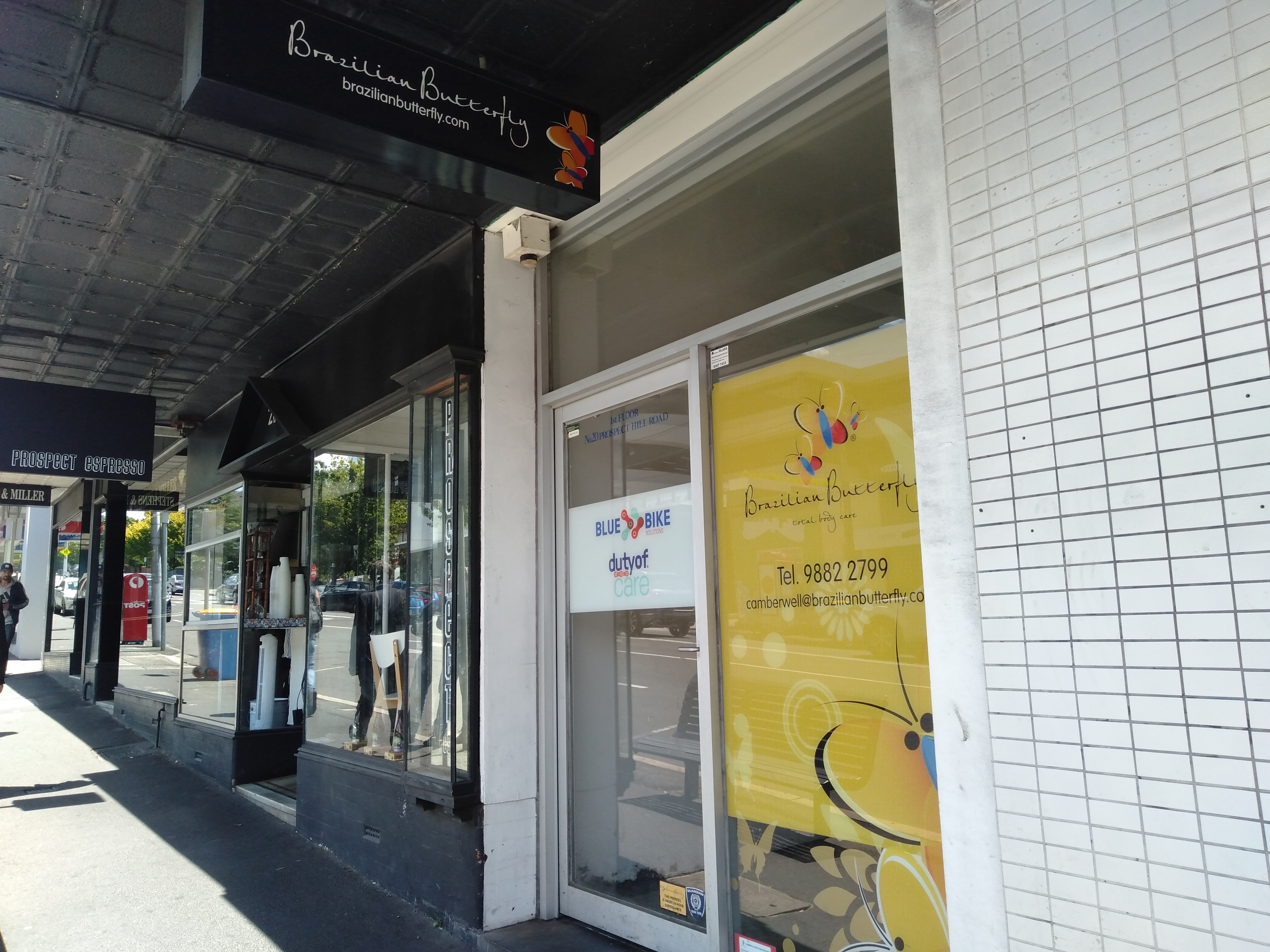 Brazilian Butterfly - Camberwell image 3