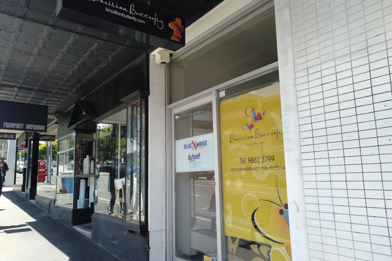 Brazilian Butterfly - Camberwell image 3