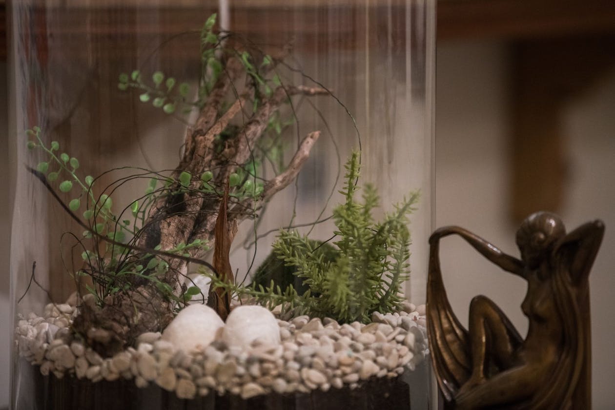 Minoo's Laser and Beauty image 9