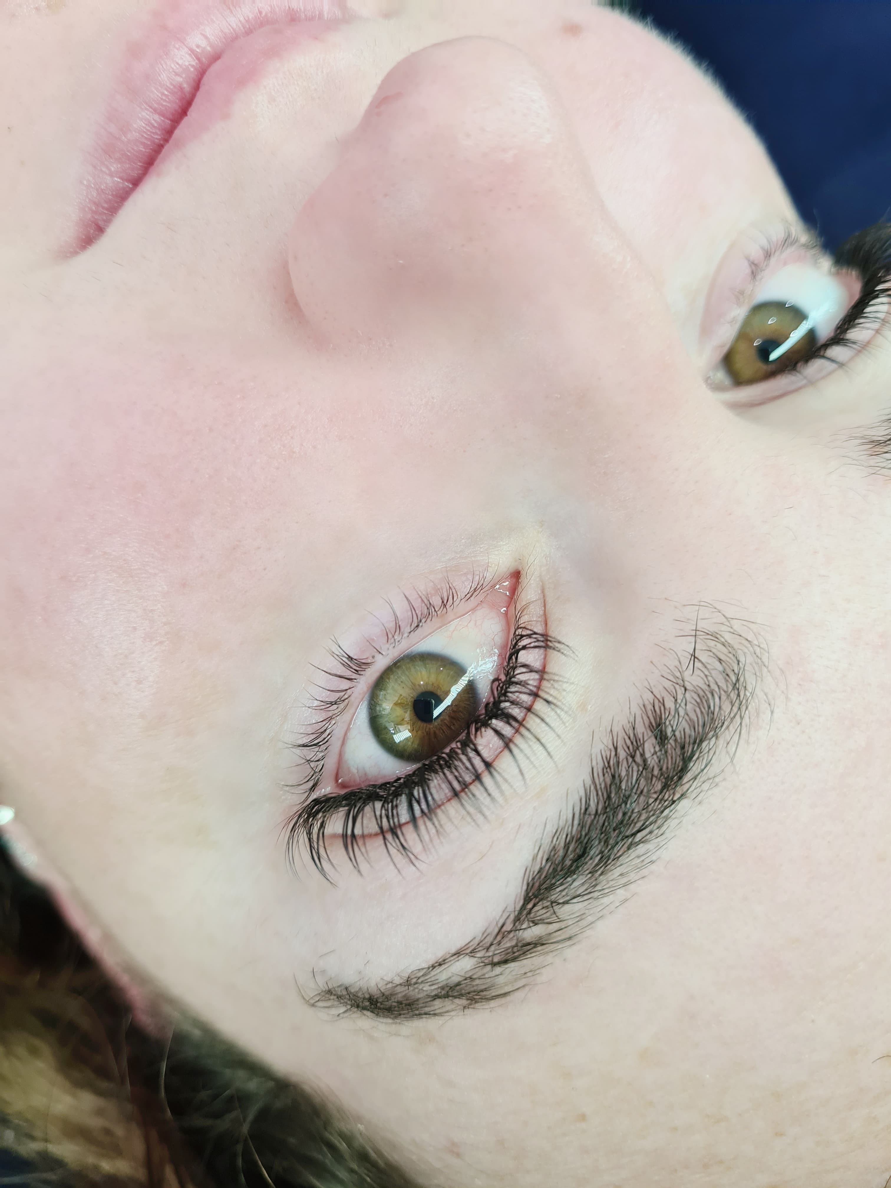 The Seven Great Lashes image 4