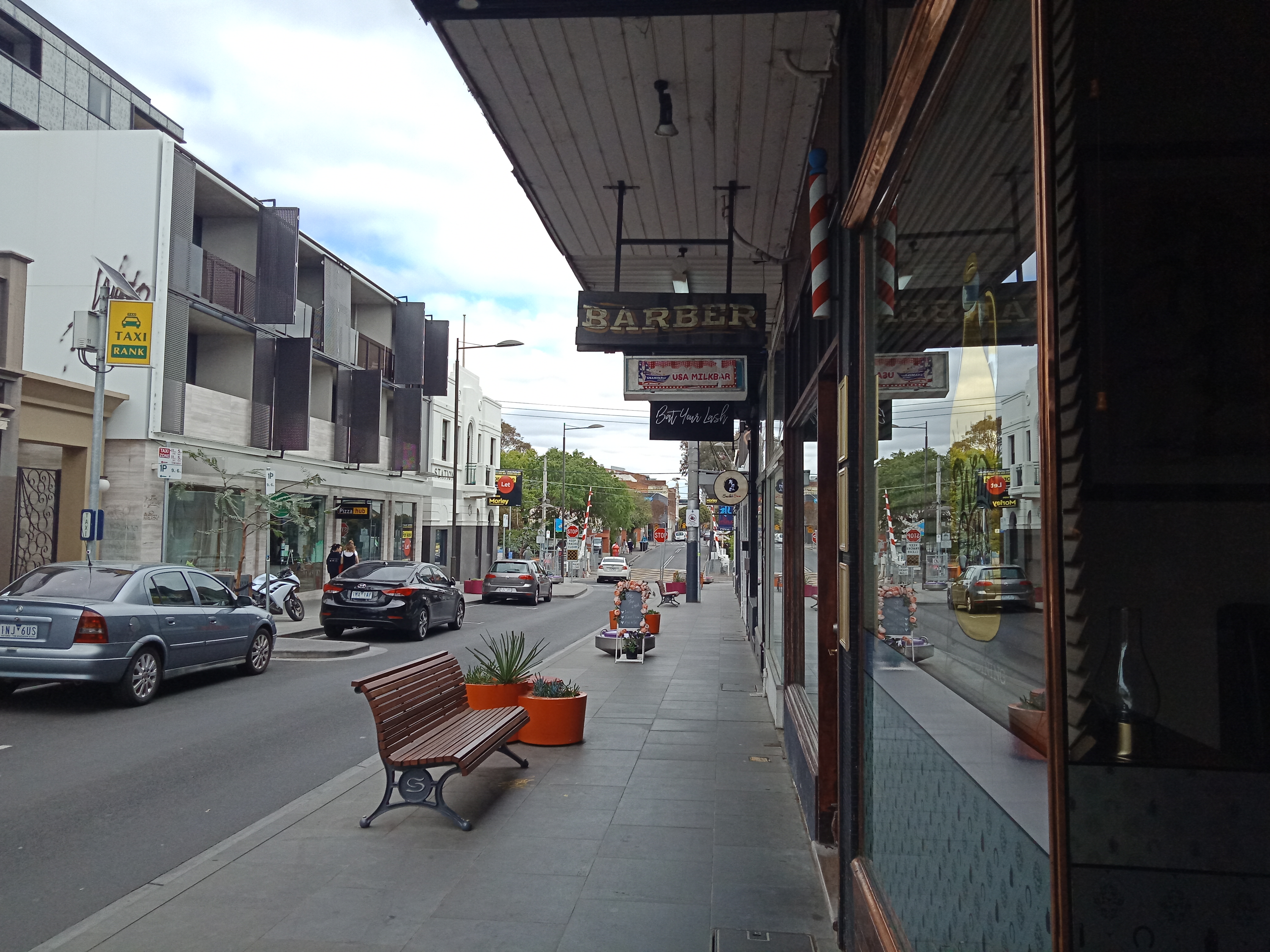 Brother Wolf image 2