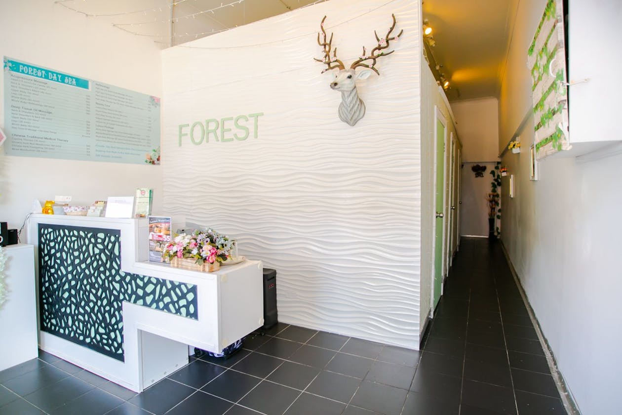 Forest Day Spa image 4