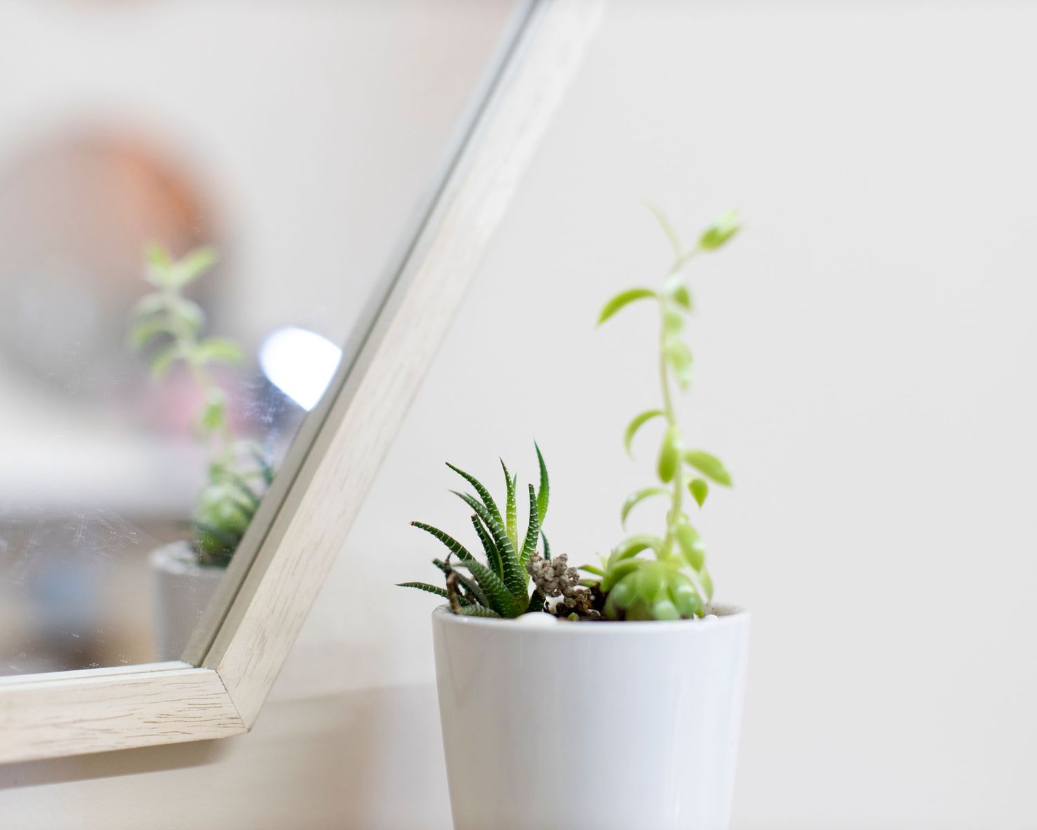 Melissa Lashes Sydney image 5