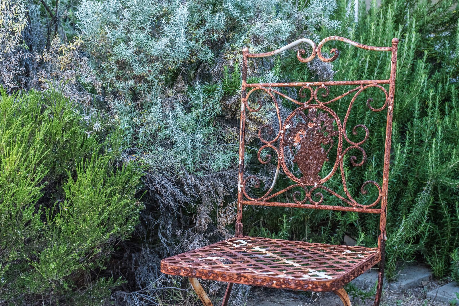 Natural Health Care image 12