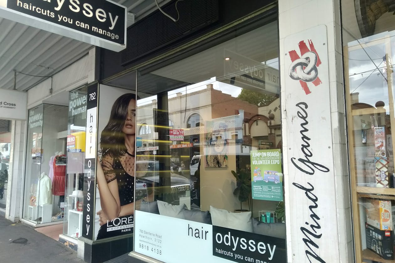 Hair Odyssey image 2