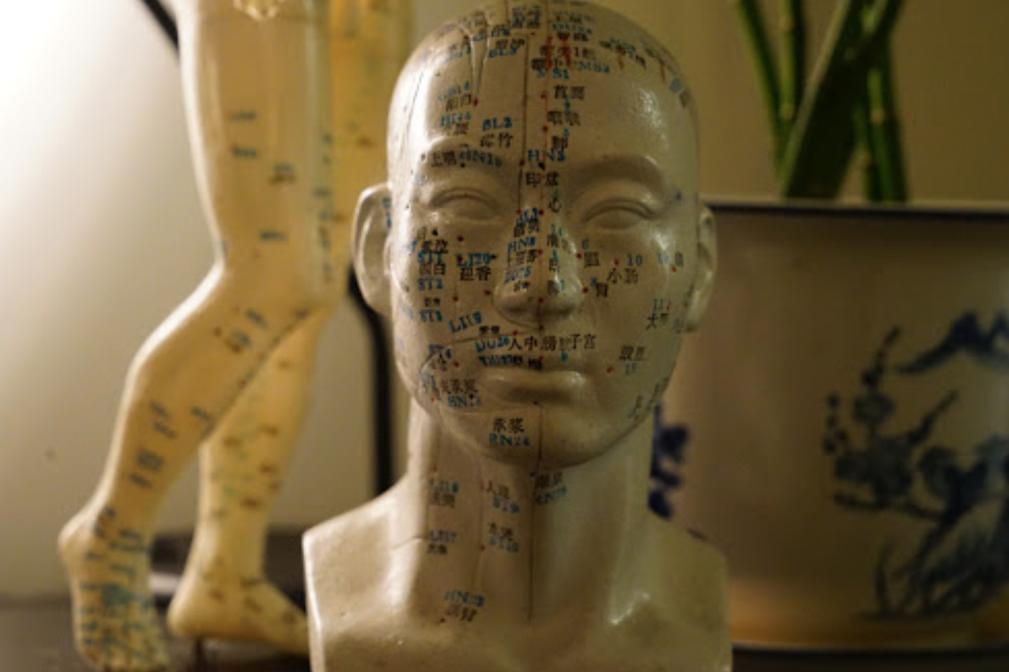 Glebe Point Acupuncture image 6