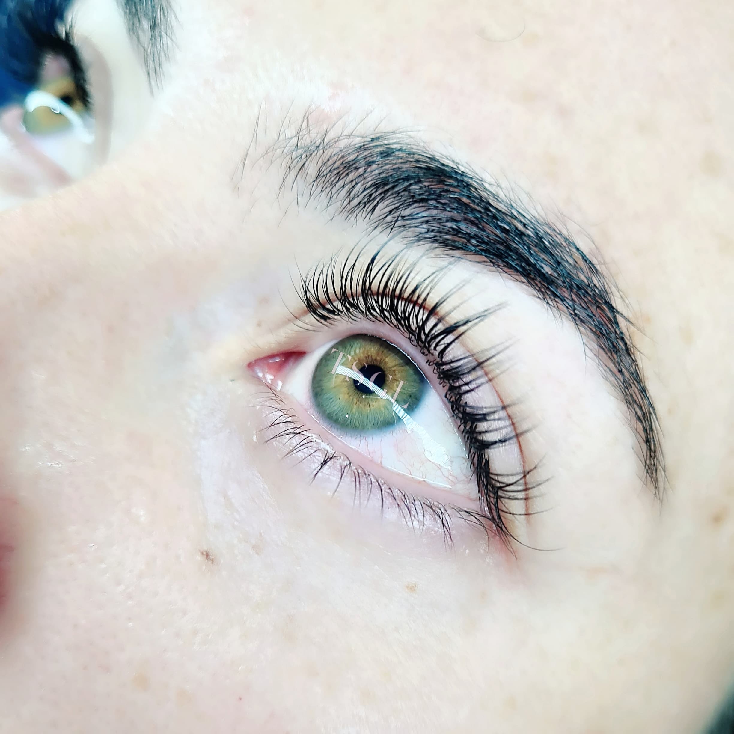 The Seven Great Lashes image 11