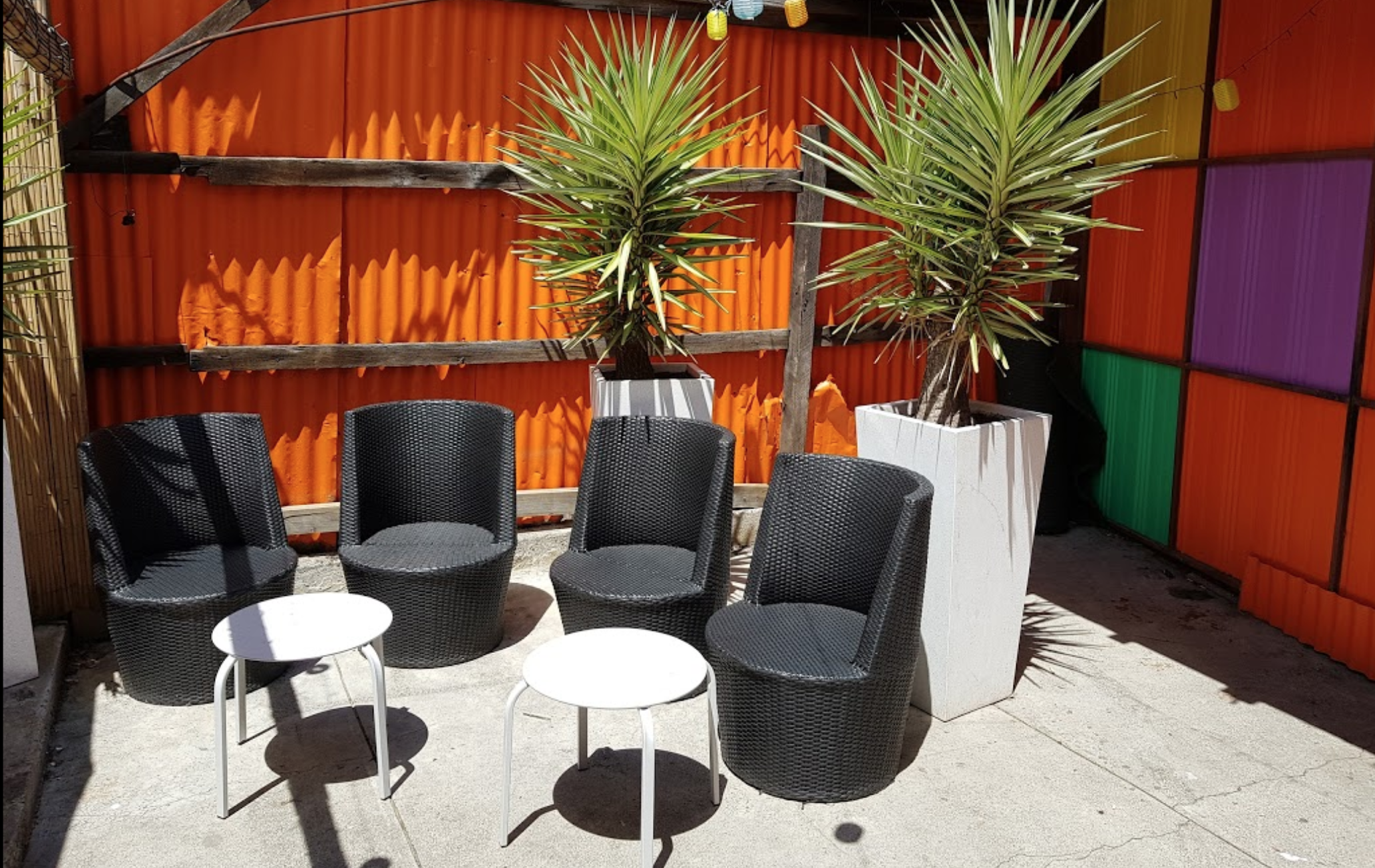 Man Oh Man - Windsor image 8