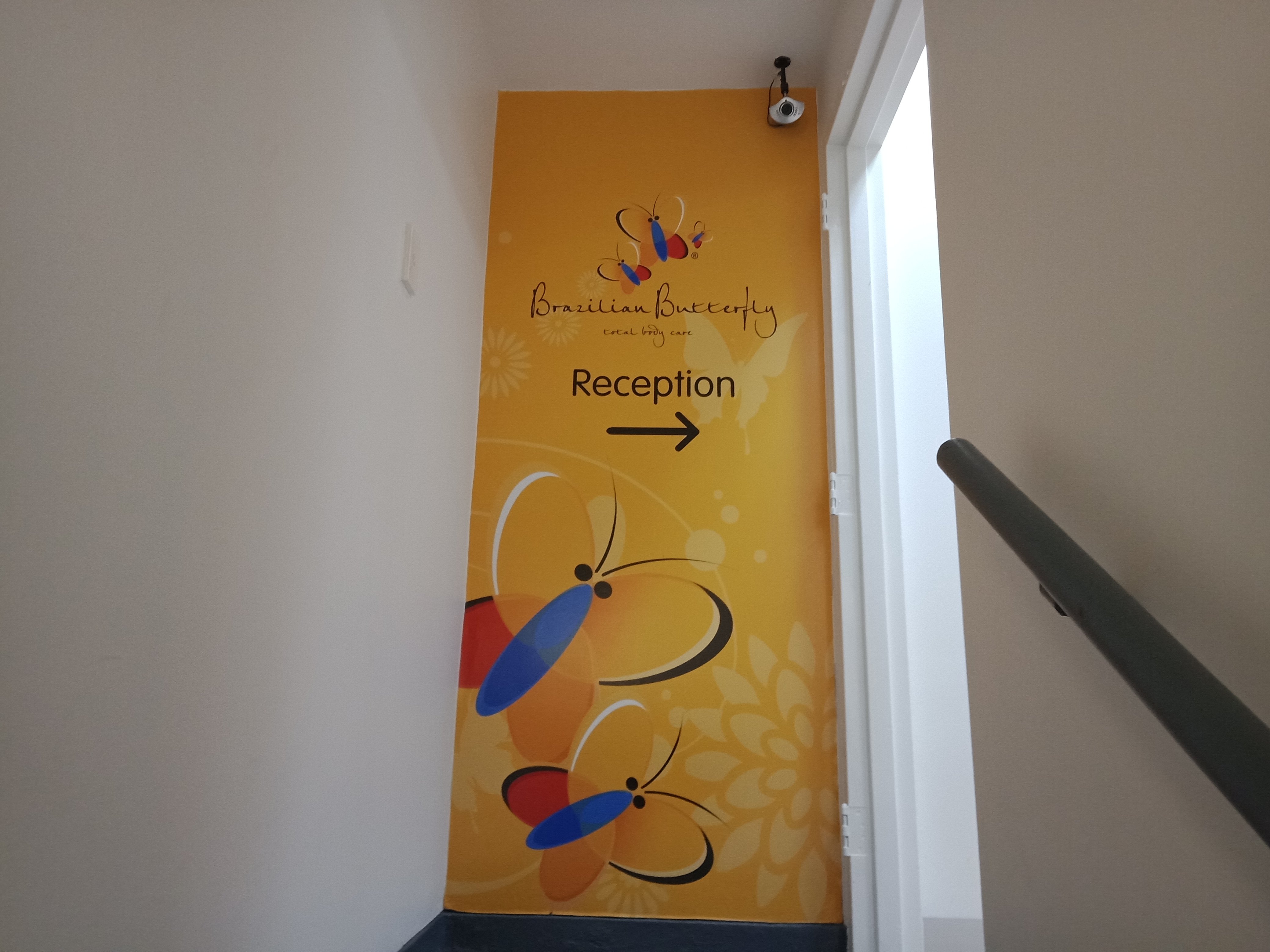 Brazilian Butterfly - Port Melbourne image 2