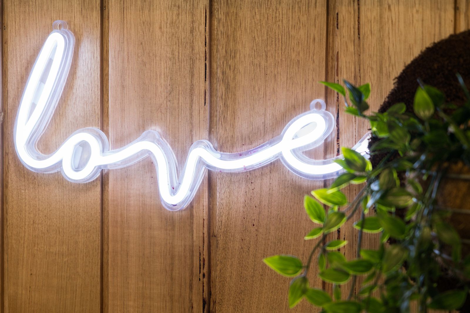 Two Birds Hair and Beauty Salon image 14