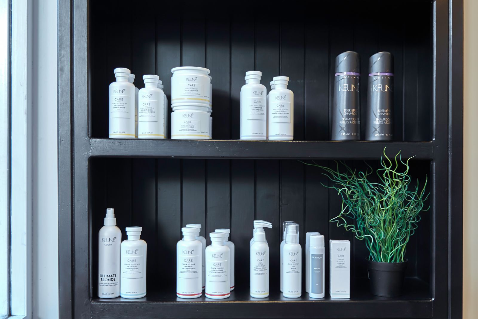 House Of Zion image 9