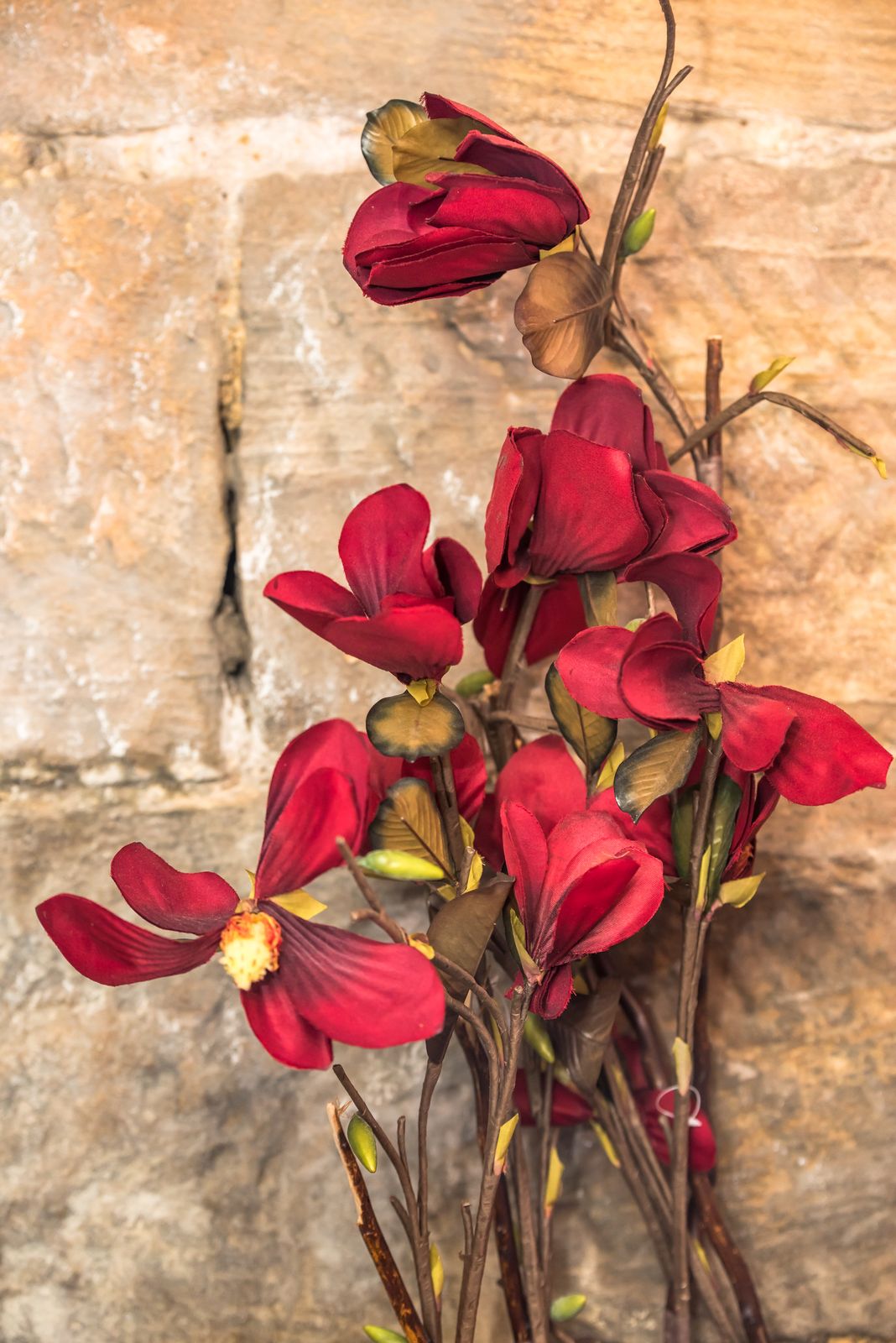 Tang Spa Beauty Massage - Glebe image 9