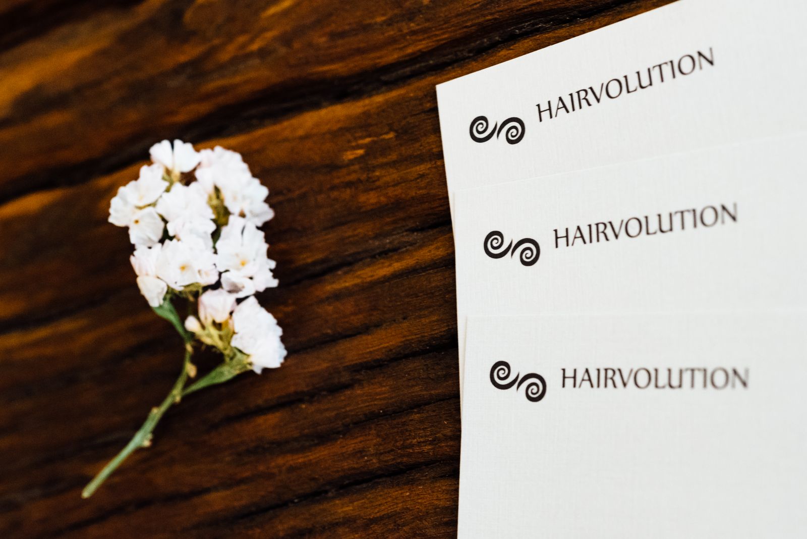 Hairvolution image 8