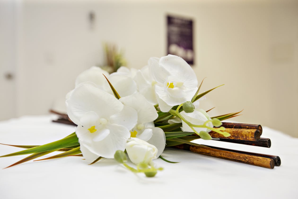 Esthetic Lab image 6