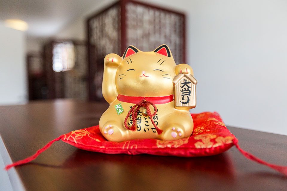 Empire Therapeutic image 6