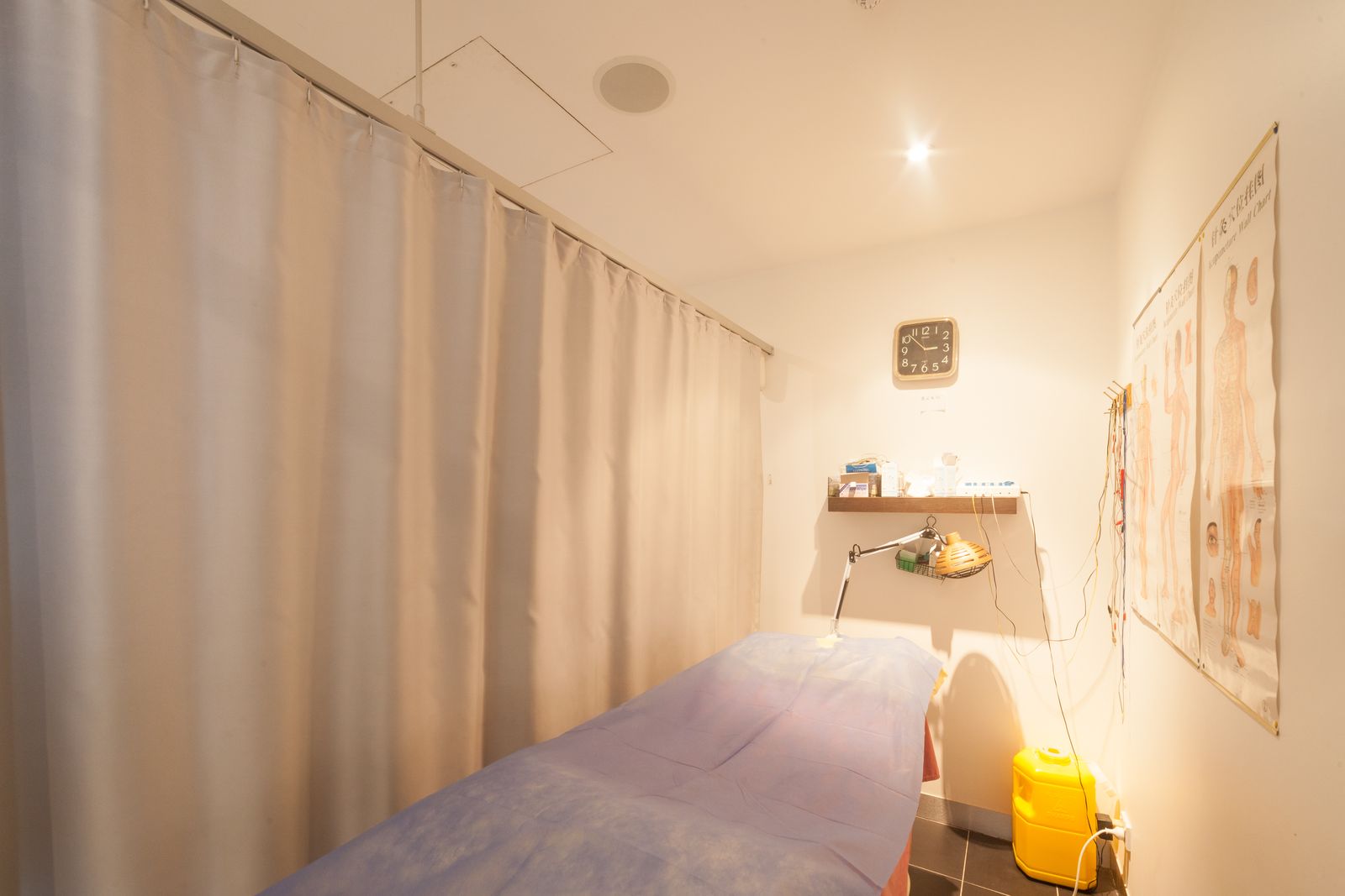 Ginseng Chinese Medicine image 6