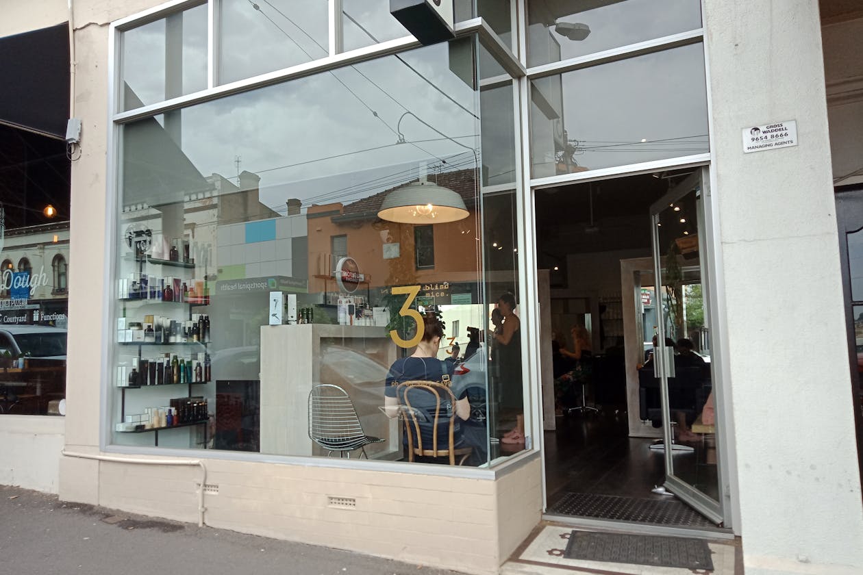 3 Blind Mice image 2