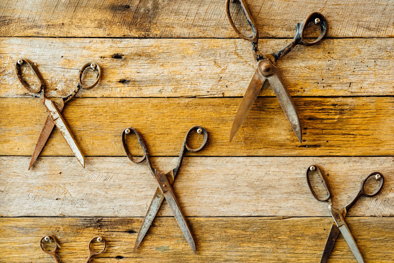 Normarny Salon image 10