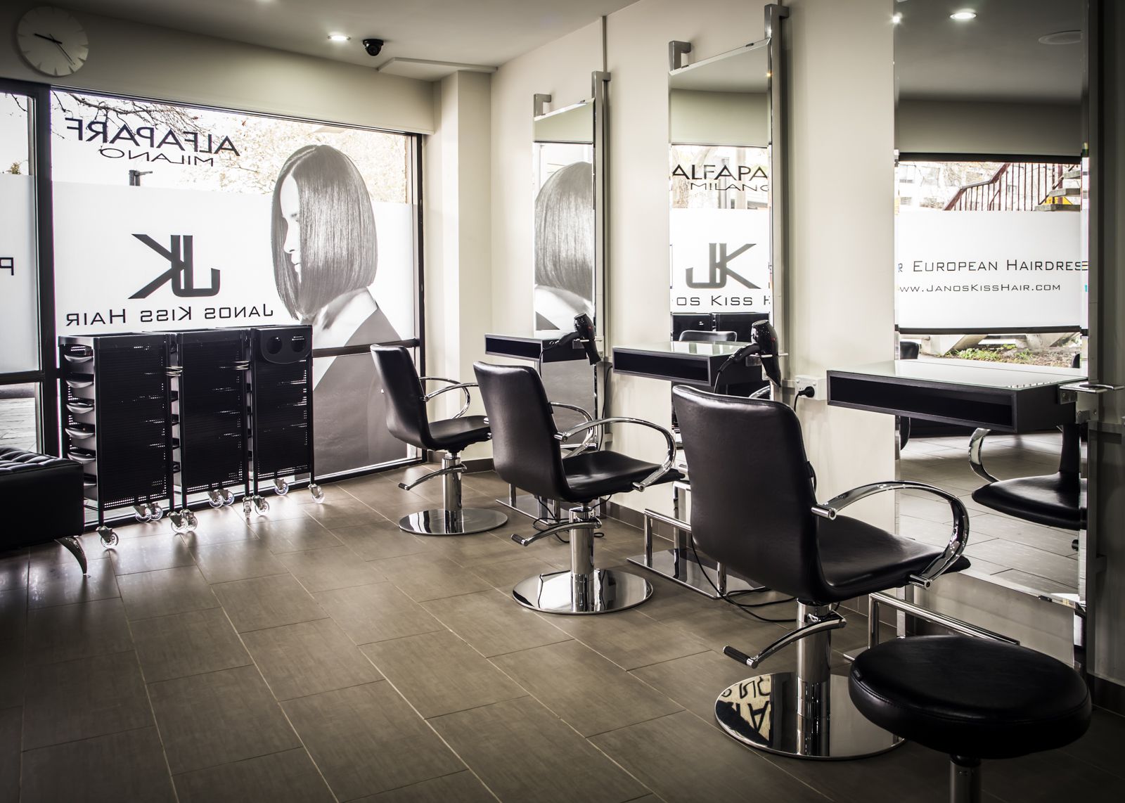 Janos Kiss Hair image 2