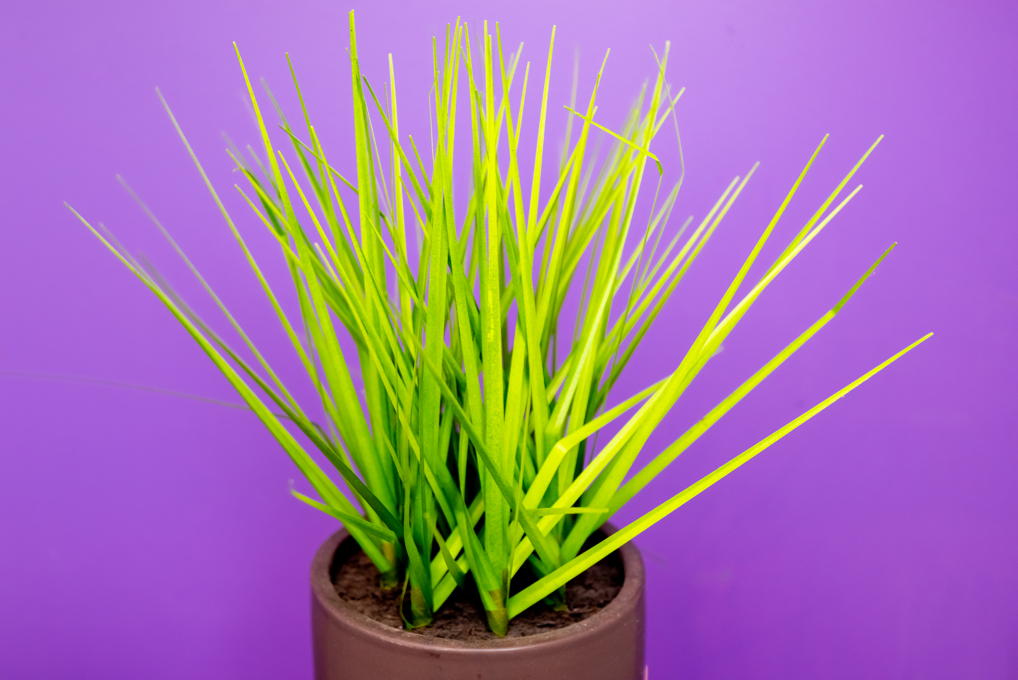 Attitude - Hair | Beauty | Massage image 10