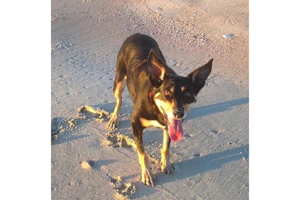 Your Massage Therapist image 7