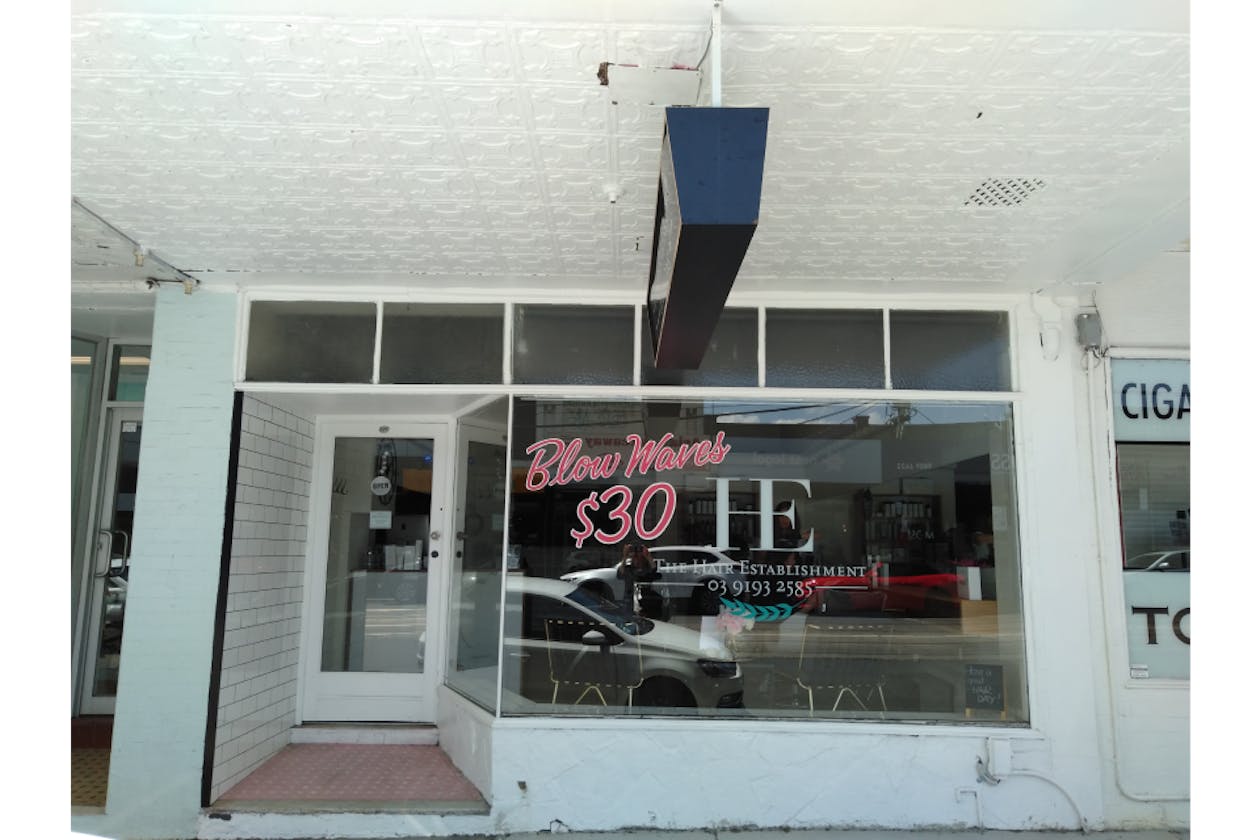 The Hair Establishment