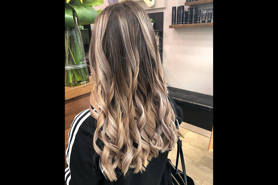 Prima Hair Tweed Heads Haircut and Hairdressing Bookwell