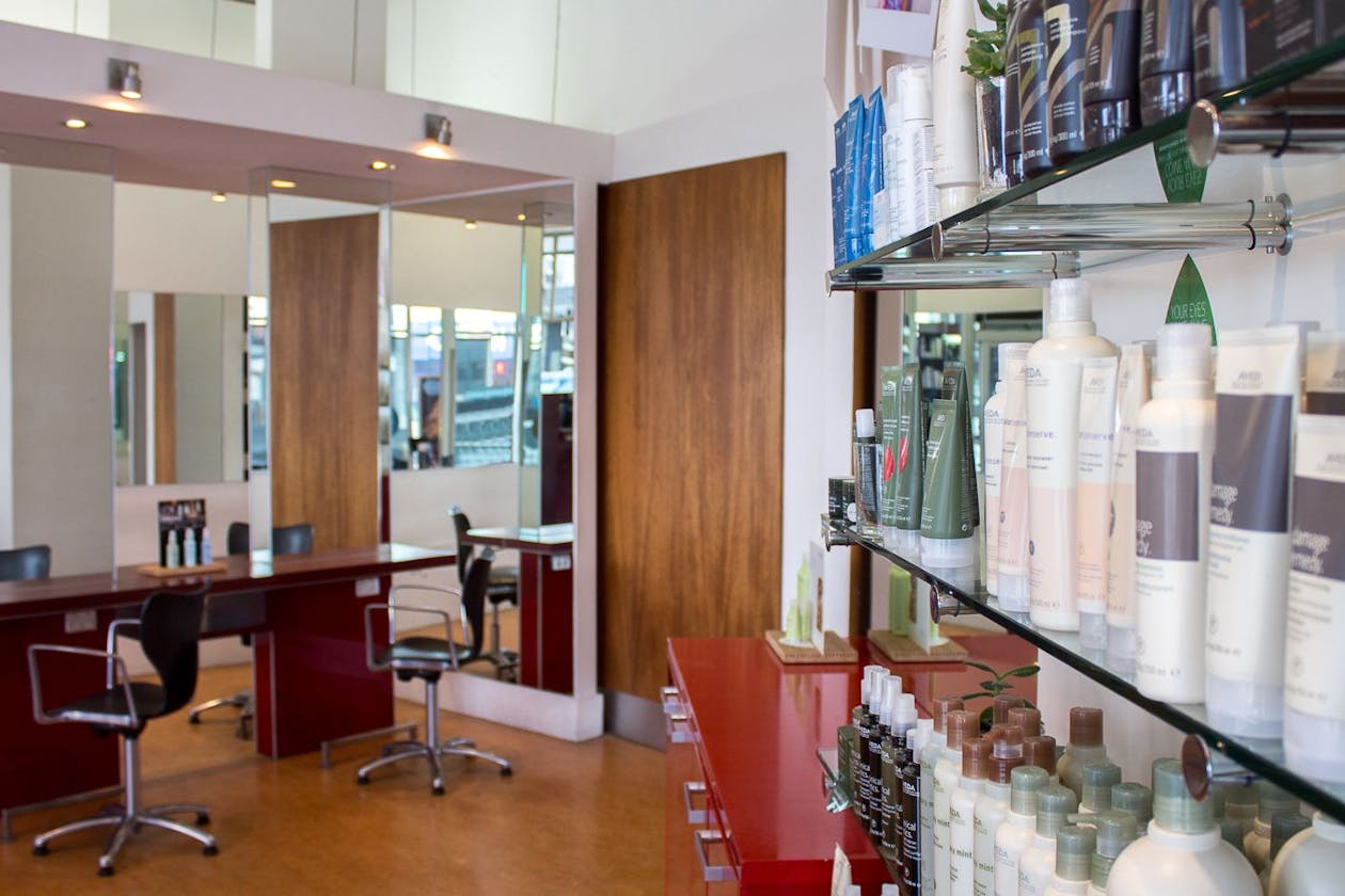 Zucci - Ivanhoe image 3