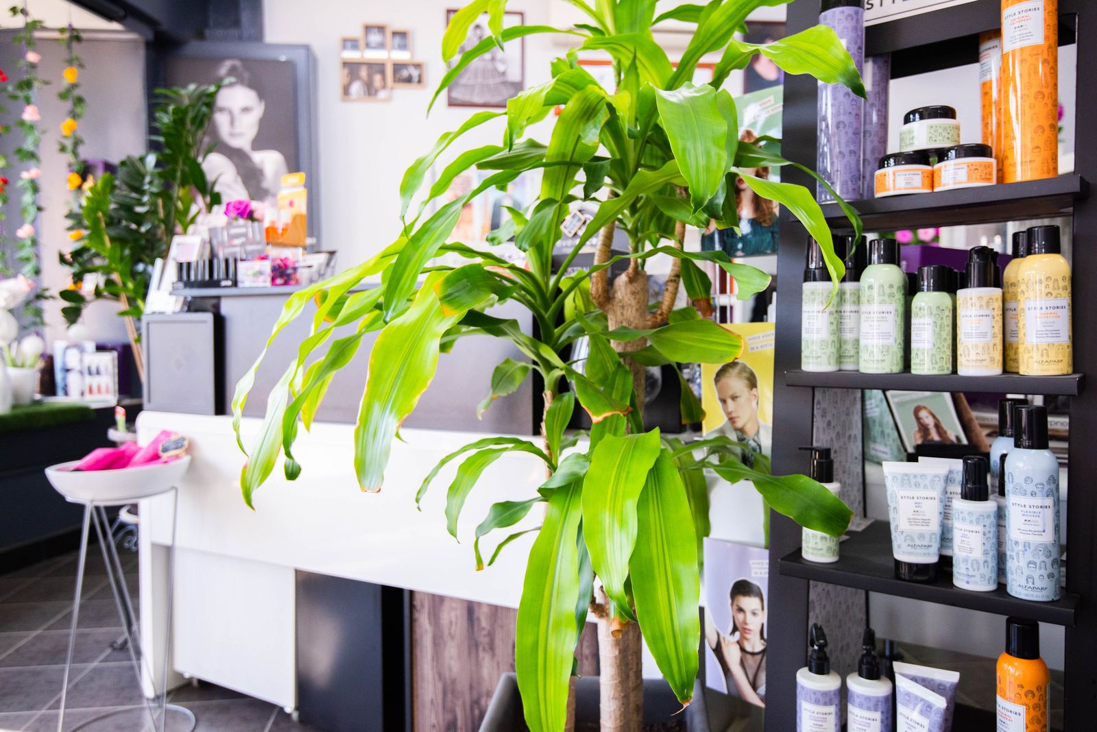 Studio 44one image 4