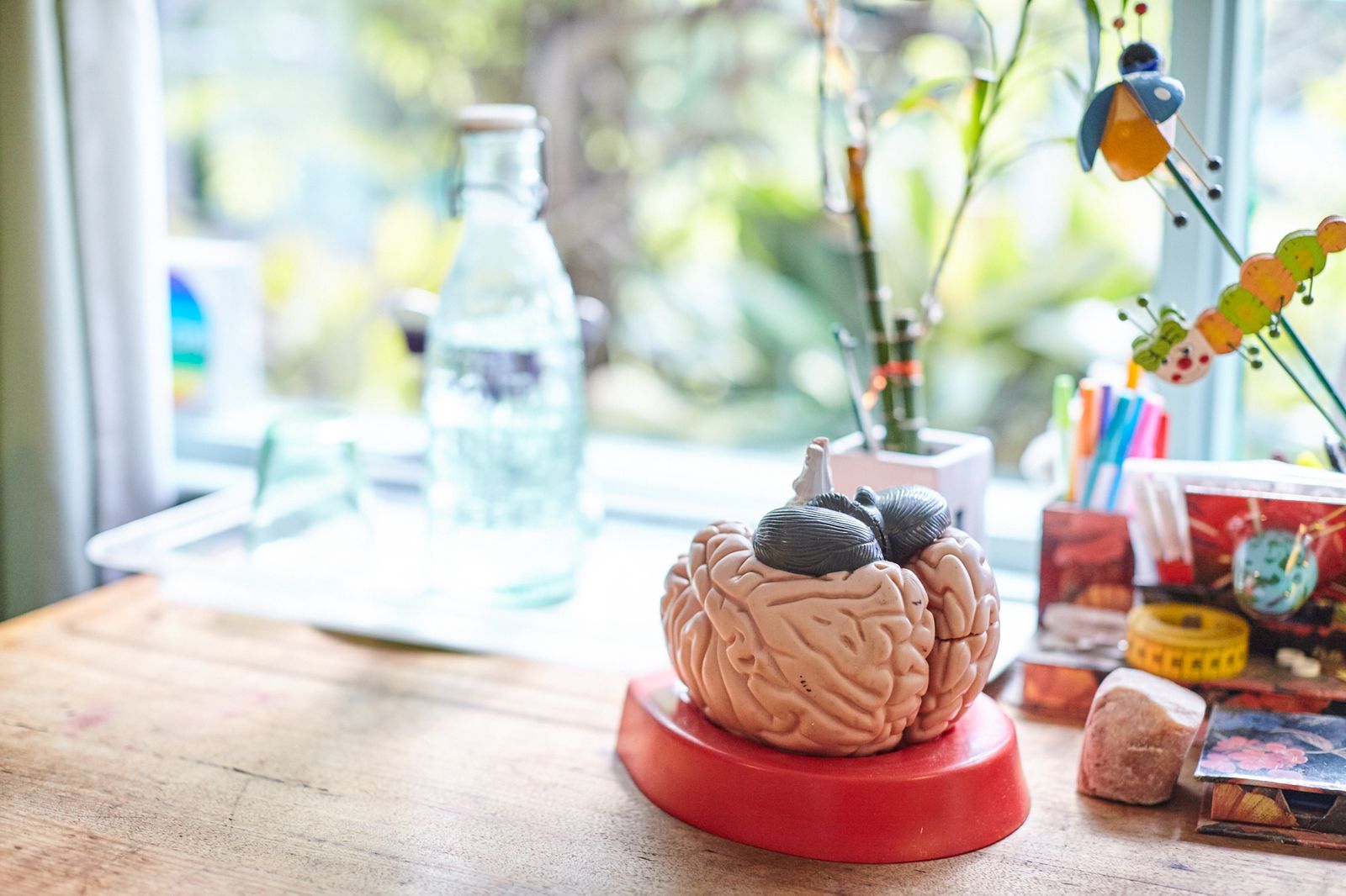 Mornington Kinesiology - Margaret Howden image 12