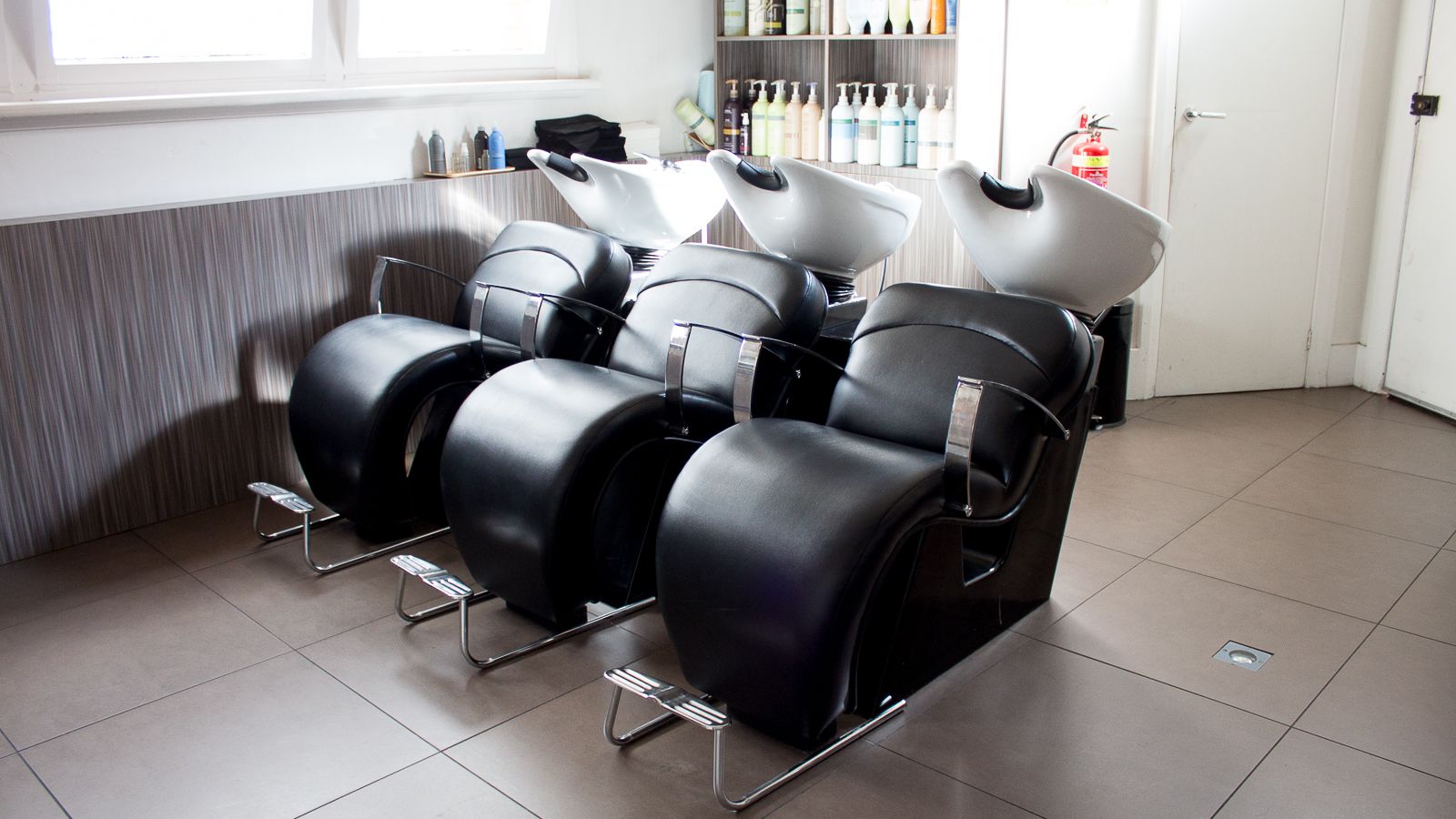 Zucci - Ivanhoe image 4