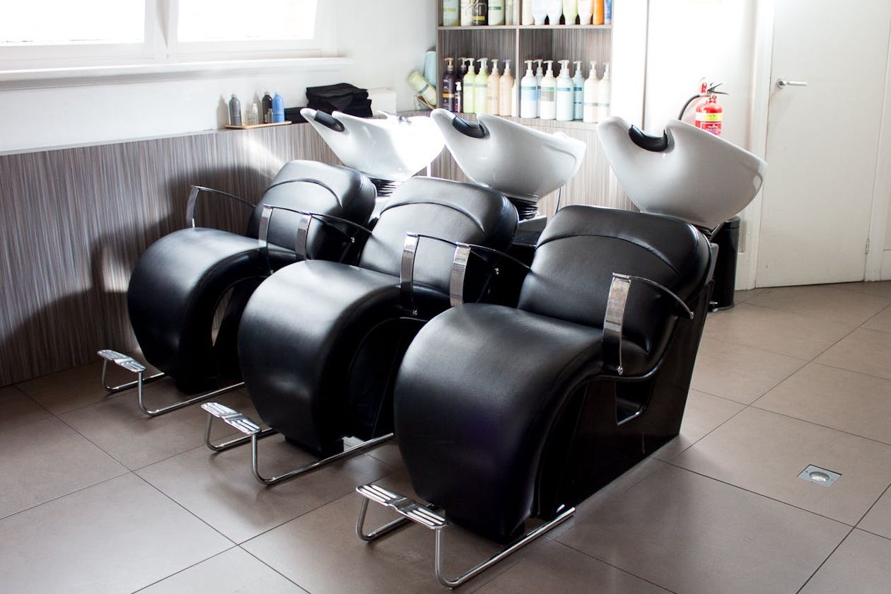 Zucci - Ivanhoe image 4