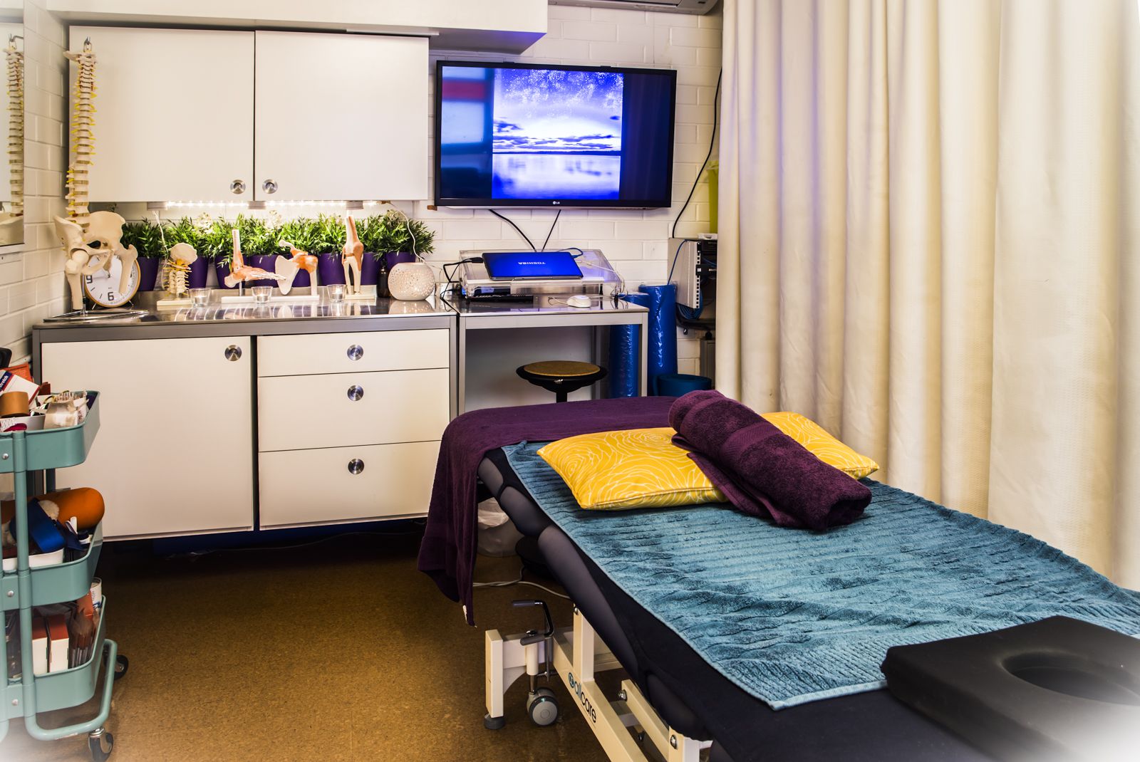 Bounce Rehab - 183 Harris St image 3