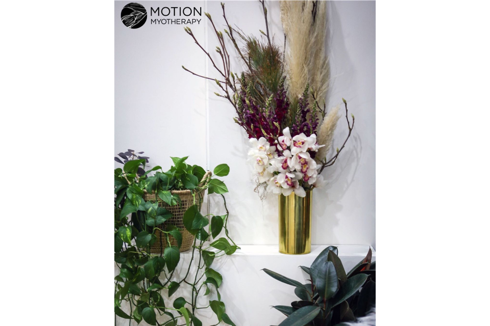 Motion Myotherapy Northcote Remedial Massage Melbourne image 17