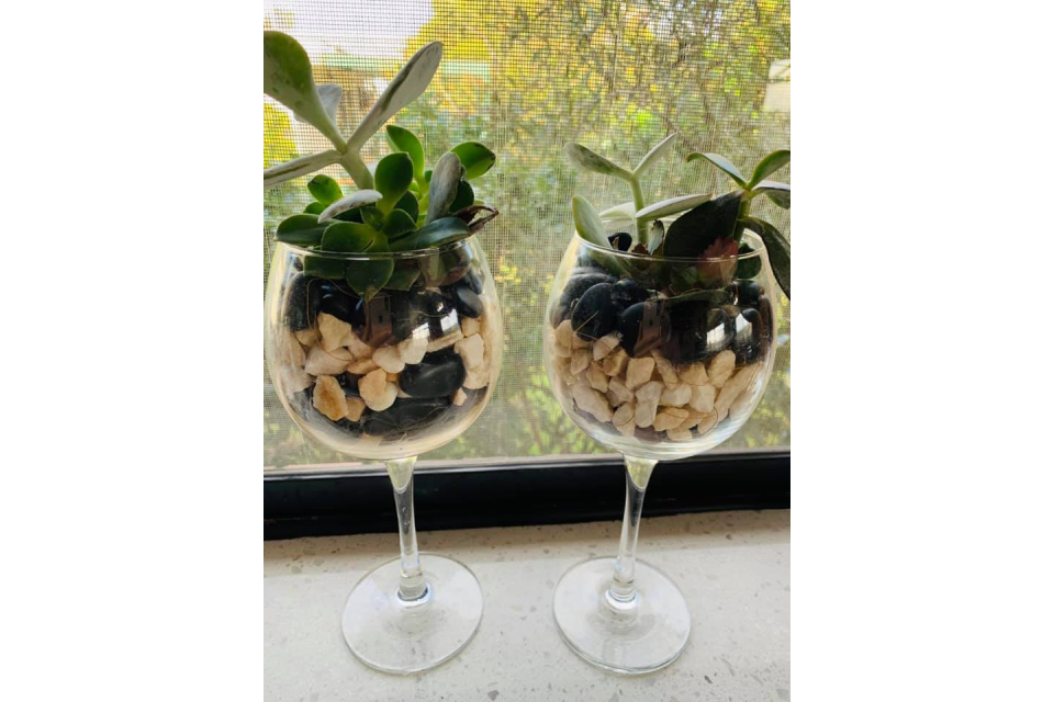 Moonlight Therapy image 8