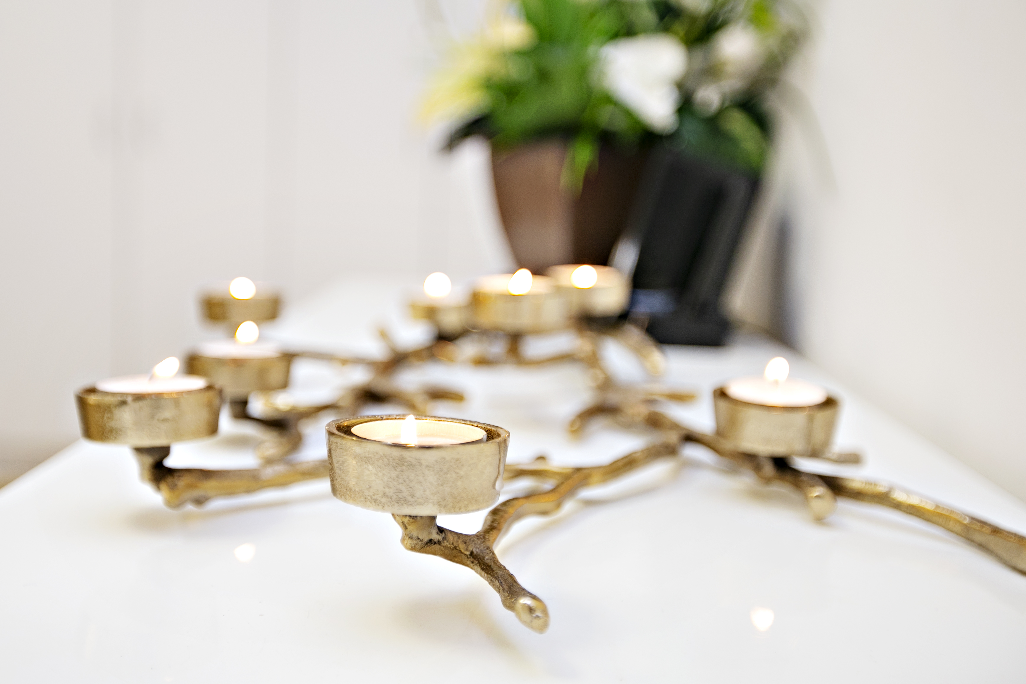 Esthetic Lab image 7