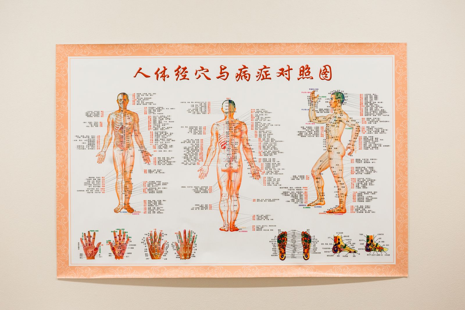 iView Beauty - Chatswood image 10