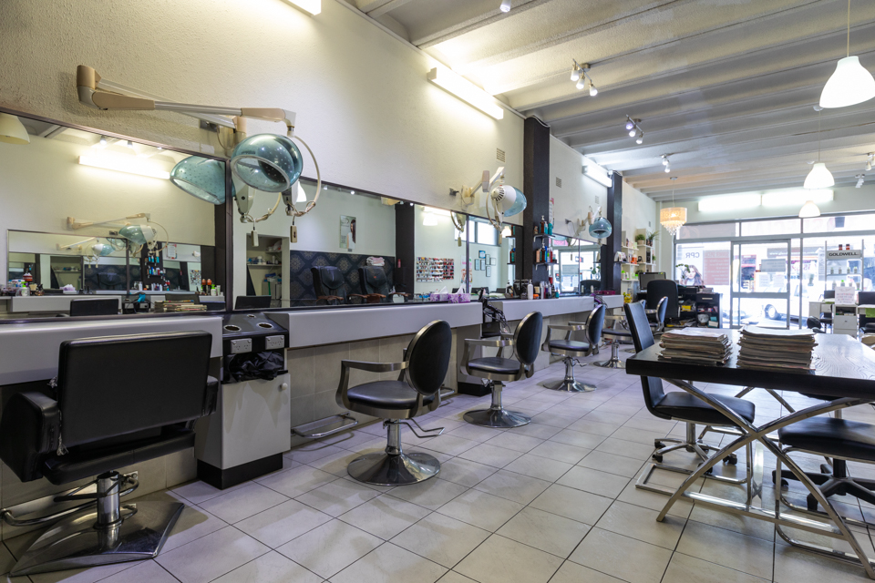 The Hairbrush image 2