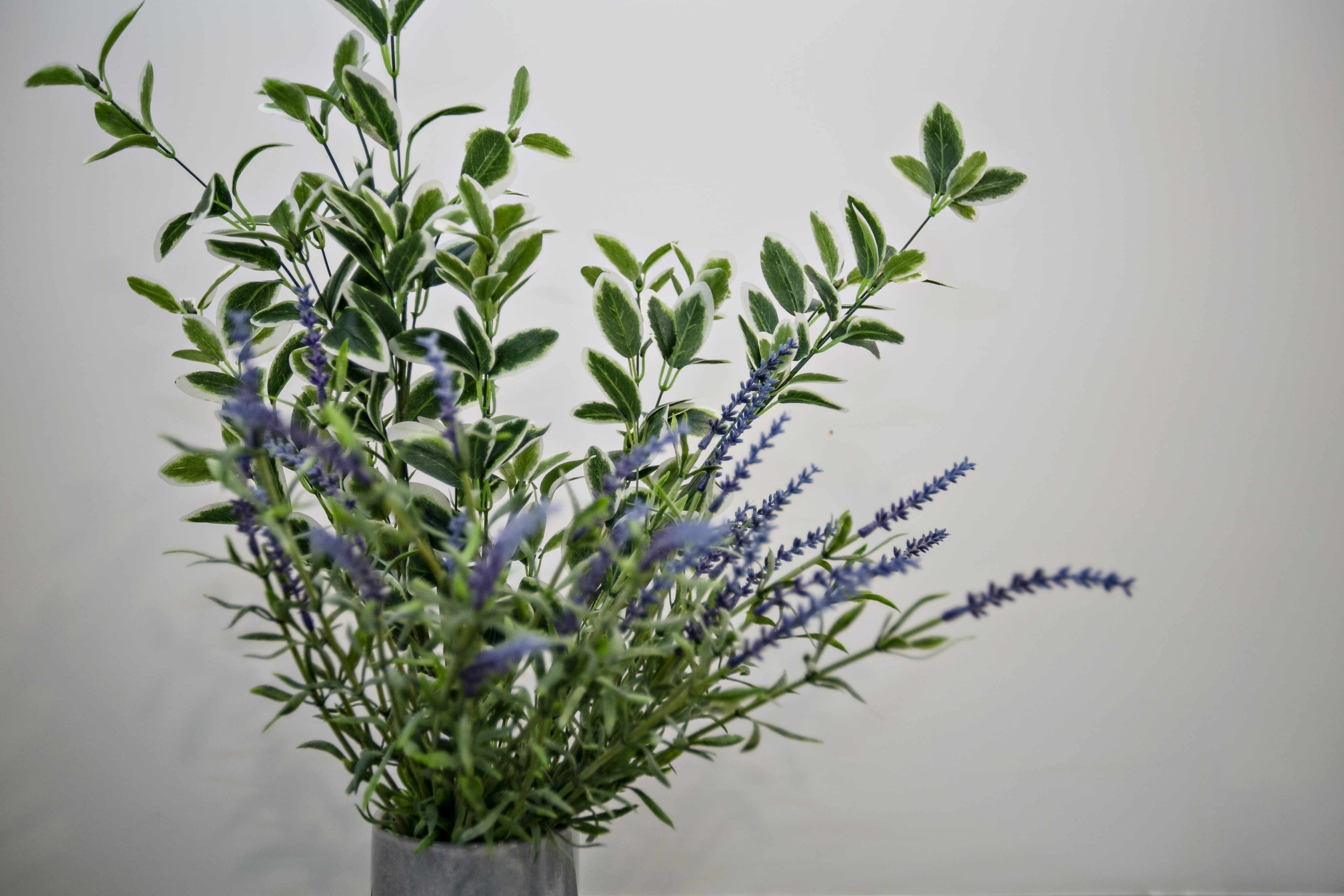 Natural Touch Cosmetic Tattooing image 9