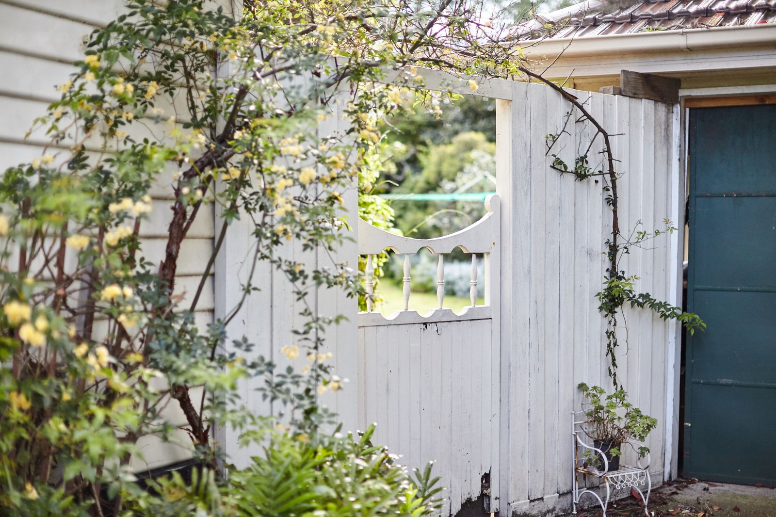 Mornington Kinesiology - Margaret Howden image 6